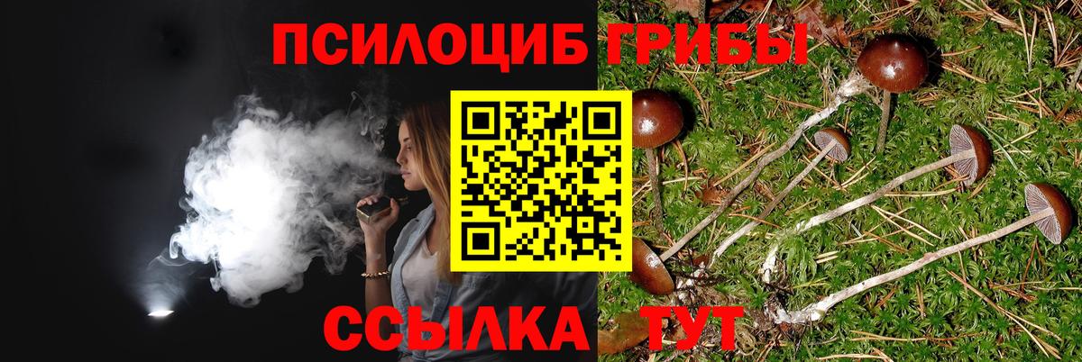 Ухта  купить наркотики цена  Галлюциногенные грибы Psilocybine cubensis  Вход с VPN  Псилоцибиновые грибы Psilocybe 